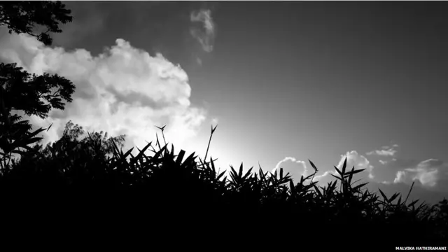 समथिंग न्यू, मालविका हाथीरमानी