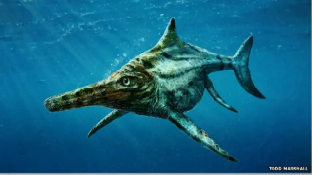 Spesies tersebut diperkirakan hidup sekitar 170 juta tahun lalu.