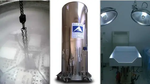 Các cơ thể được bảo quản ở nhiệt độ -196 độ C.