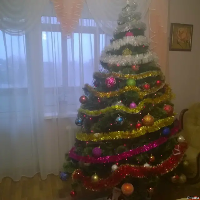 моя новорічна ялинка, фото читачів ВВС