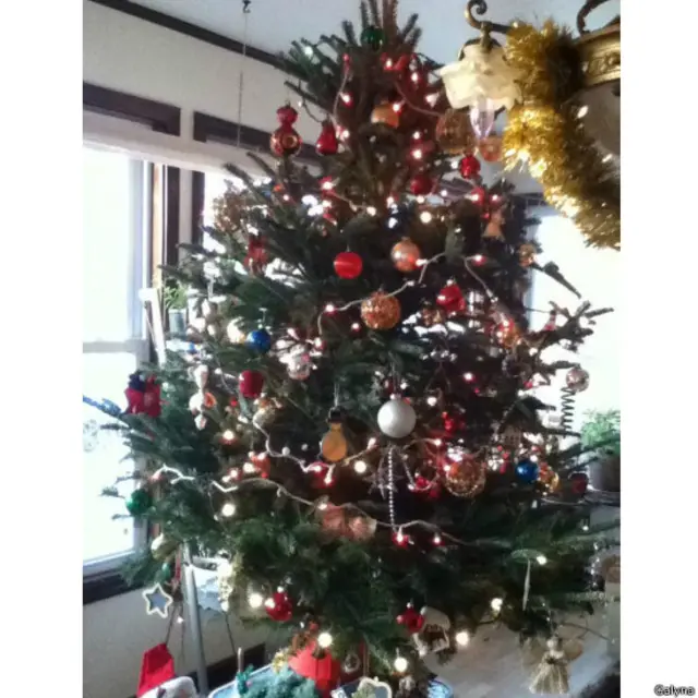 моя новорічна ялинка, фото читачів ВВС