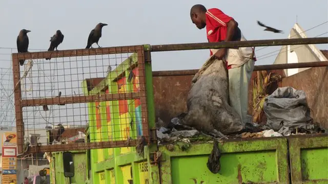 শহরের বর্জ্য কাকের বংশবৃদ্ধির পেছনে একটি বড় কারণ।
