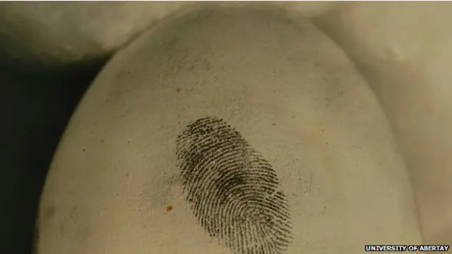 अंडों से फिंगरप्रिंट