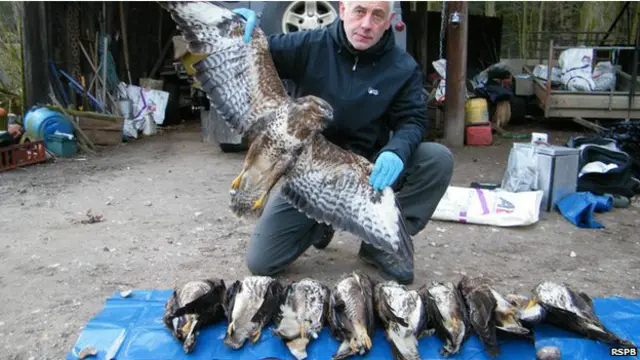 पक्षियों का गैरकानूनी कारोबार