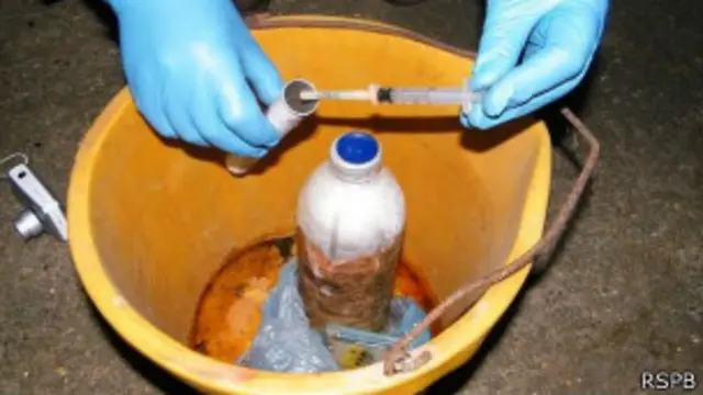 जहर देकर पक्षियों का शिकार