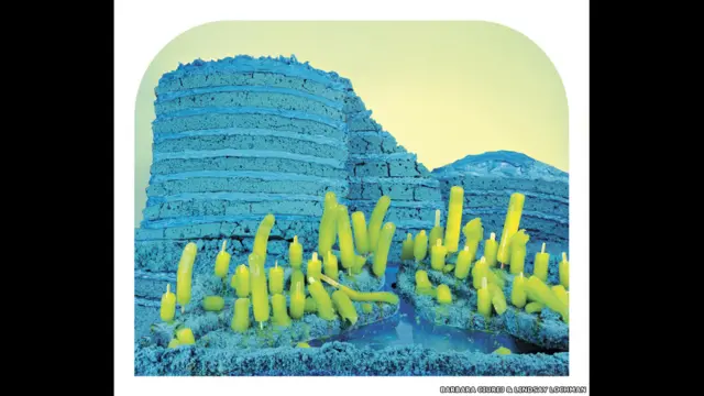 امریکی فوٹوگرافروں باربرا سیروج اور لنزی لاک مین نے پراسیس کھانے کی اشیا سے چھوٹے مناظر تشکیل دیے ہیں۔