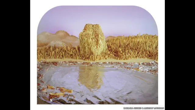 ’جیسے جیسے ہم کھانے کے ذرائع سے دور منتقل ہو رہے ہیں ہماری صحت اور ماحول پر منفی اثرات پڑ رہے ہیں اور ہم ایک ان دیکھے علاقے میں داخل ہو رہے ہیں۔‘