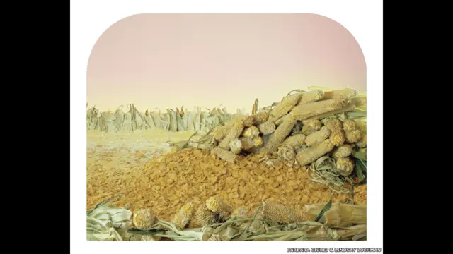 ’ہم نے یہ مناظر لوگوں کی خوراک میں تبدیلی کو اجاگر کرنے کے لیے بنائے ہیں۔‘