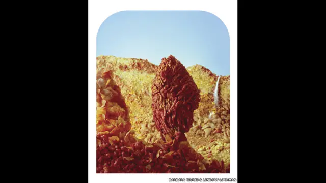 باربرا سیروج اور لنزی لاک مین کی بڑے پتھر والی تصویر واٹکنز کی ’اگاسسز راک‘ اور ’یوس مائٹ‘ تصاویر کی ایک دلچسپ تعبیرِ نو ہے۔ 