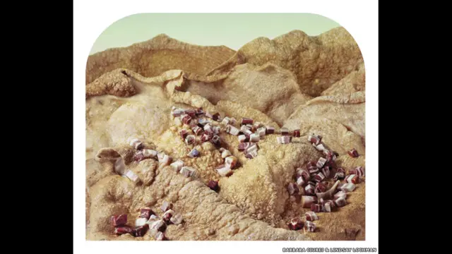 فوٹوگرافروں کا کہنا ہے کہ ’یہ مناظر صنعتی خوراک کی پیداوار کو اجاگر کرتے ہیں جو فطرت اور ٹیکنالوجی کا ایک خطرناک چوراہا ہے۔‘
