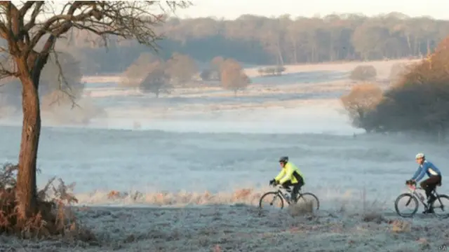 倫敦西南Richmond公園