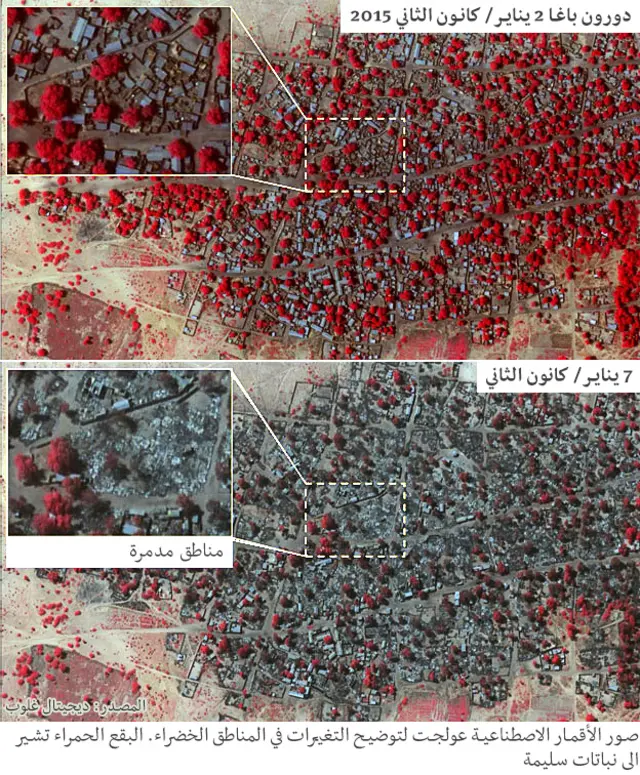 باغا نيجيريا