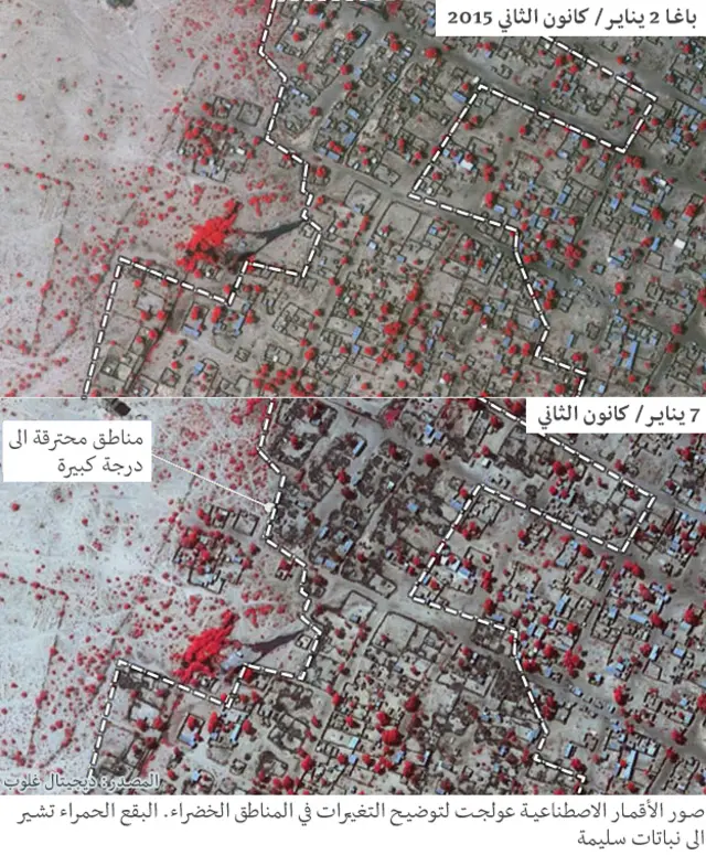 باغا نيجيريا