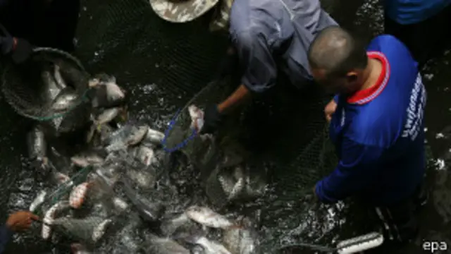 ထိုင်းဟာ တတိယ အကြီးဆုံး ပင်လယ်စာ တင်ပို့တဲ့ နိုင်ငံဖြစ်