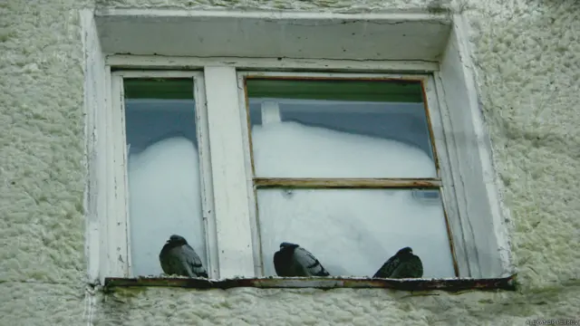 Фото: Александр Петров