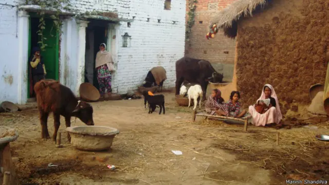 शंकर बिगहा गांव