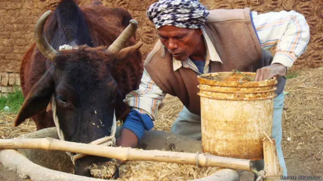 बिहार शंकर बिगहा गांव