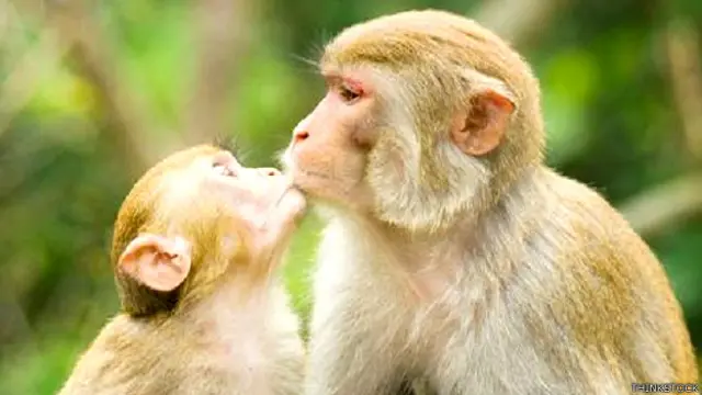 फ़ाइल फोटो