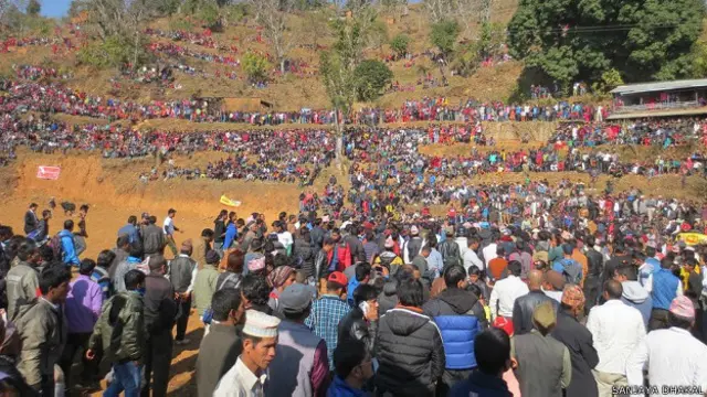 सांड की लड़ाई, नेपाल