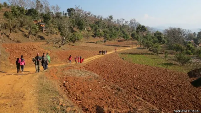 सांड की लड़ाई, नेपाल