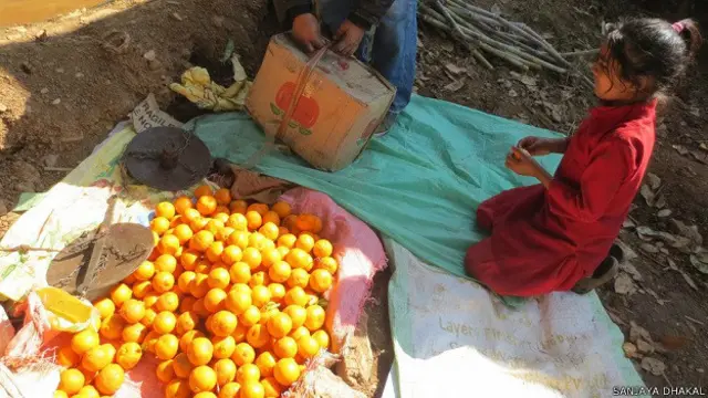 सांड की लड़ाई, नेपाल