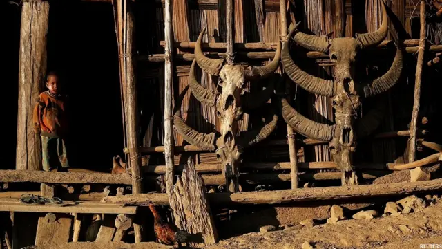 नगा स्वशासित ज़ोन, बर्मा, नगा जनजाति