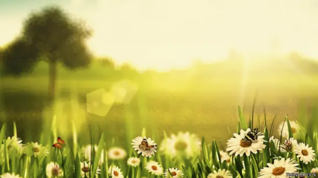 Un paisaje con mucha luz del sol