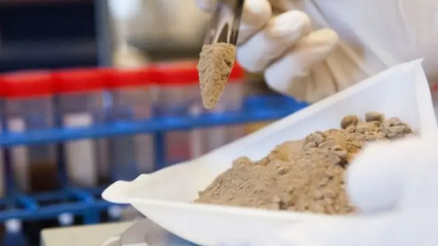 بدأ العلماء بالفعل في تحليل عينات من شواطئ وغابات وصحراوات من أرجاء خمس قارات