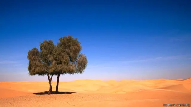 रेतीला समंदर