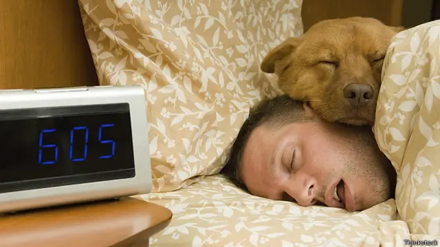 Собака в постели с хозяином