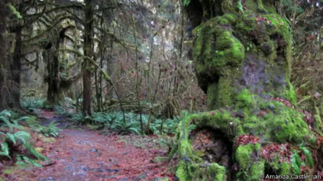 تظل المنطقة غائمة لنحو 239 يوماً من السنة،