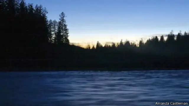 تحولت قمم الأشجار الصنوبرية إلى لون فضّي، واضافت لمعاناً إلى الأشجار وأوراقها.