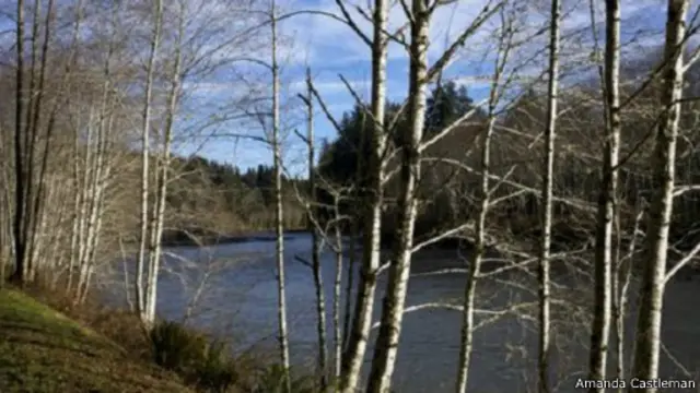 انساب من حولنا النهر بصوت هديره، وانهمرت قطرات الندى من الطحالب