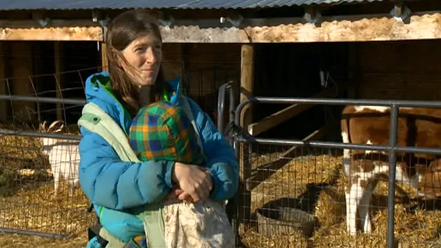 سارا که روی وبسایت مزرعهاش دستورپخت میگذارد، خوشحال میشود که کوباییها هم از محصولات مزرعه او بخورند