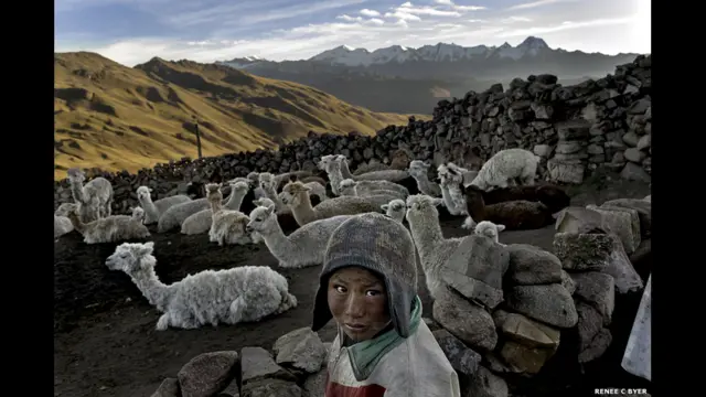 Фото Рене Байер