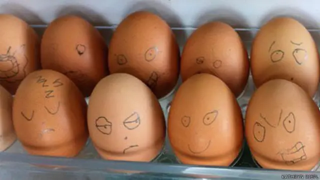 Esto se encontró Kathryn Riepl cuando abrió la puerta del frigorífico.