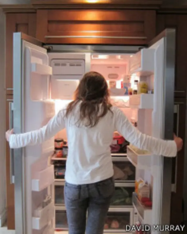 "Resume la vida moderna: escoge lo que haya en el refrigerador o el congelador", dice David Murray.