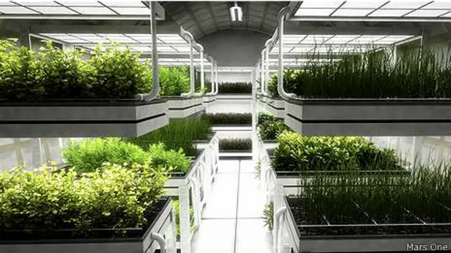 Космическая теплица