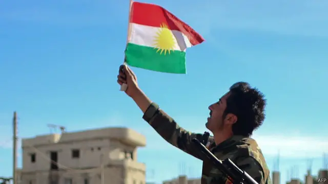 تعد استعادة الأكراد لمدينة عين العرب (كوباني) ضربة قوية لتنظيم الدولة الإسلامية.