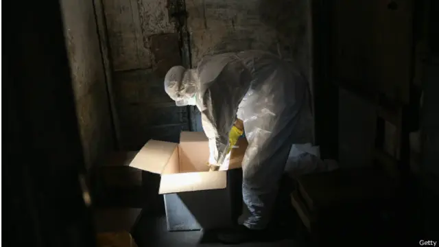 研究人員在調查埃博拉病毒如何改變,努力弄清這種變異是否變得在人之間更容易傳染。