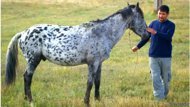 Мунарбек Кулданбаев чаар жылкысы менен.