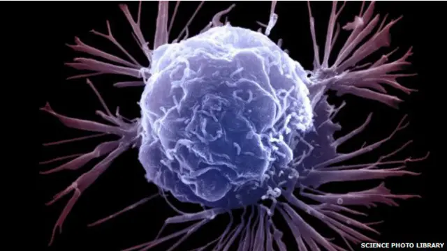 कैंसर कोशिका, कैंसर सेल