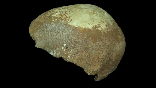 یہ پہلا موقع ہے جب افریقہ میں قدیم جینوم کی دریافت ہونے کے بعد اس پر مکمل طور پر تحقیق ہوئی ہو