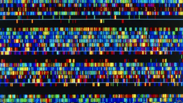 La terapia Crispr permite alterar de forma más rápida, precisa y detallada cualquier posición de los 23 pares de cromosomas del genoma sin cometer errores ni introducir mutaciones no deseadas.