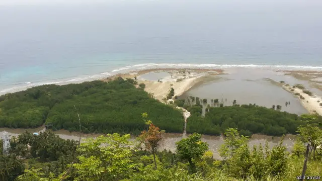 Sejak 1990, Aziil melibatkan masyarakat untuk menumbuhkan mangrove di lahan kritis seluas sekitar 20 hektar.