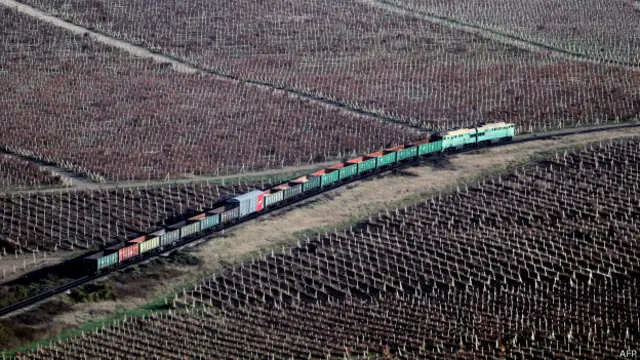 Крымские виноградники