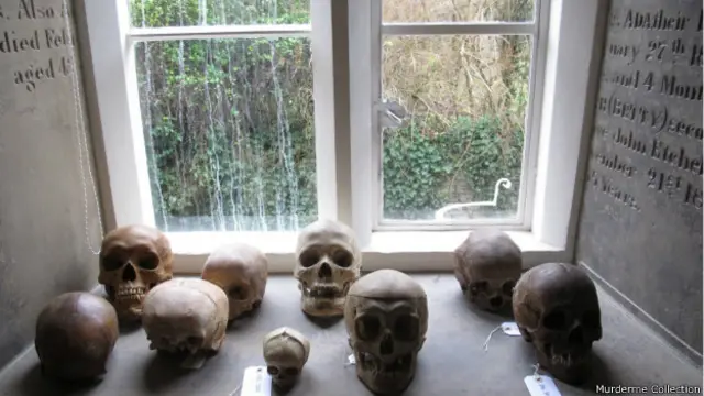 Коллекция черепов в доме художника Дэмиена Херста. Экспонат выставки "Величественная одержимость. Художник как коллекционер" 