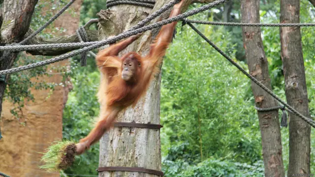 Фото: Александр В.