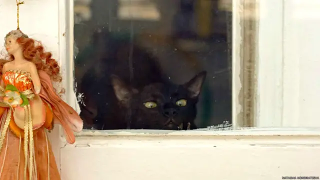 Фото: Наташа Кондратьева