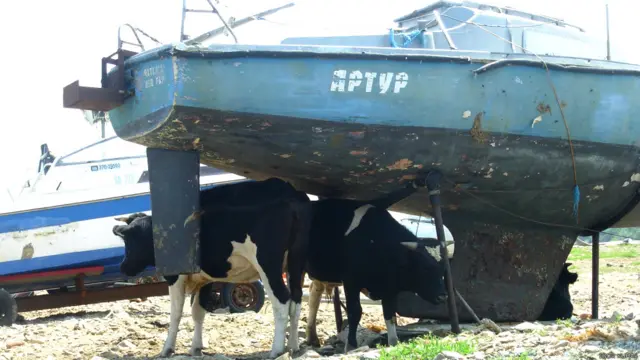 Фото: Игорь Кухарь